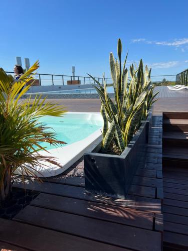 Alma María — 4-Star Luxury Hotel in Federacion, Argentina