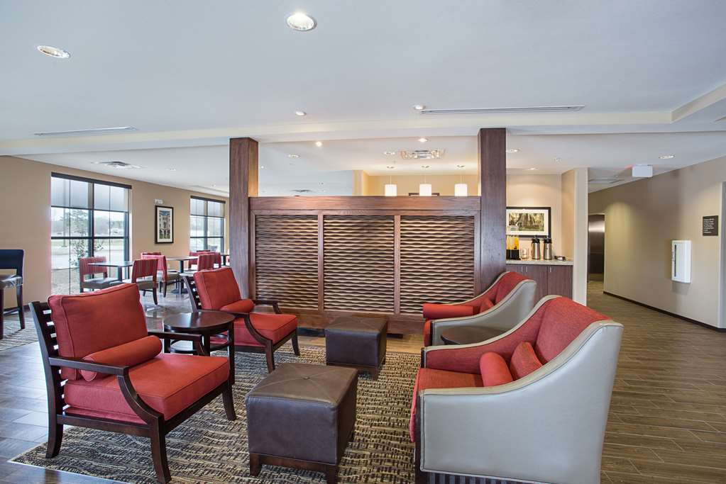 Comfort Inn & Suites Zachary - photo 10