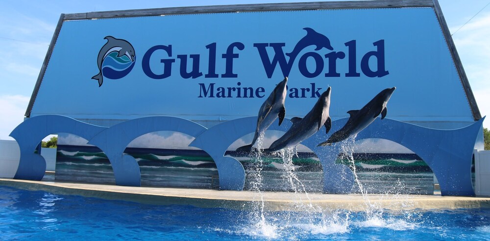 Gulf Highlands by Vtrips - photo 41