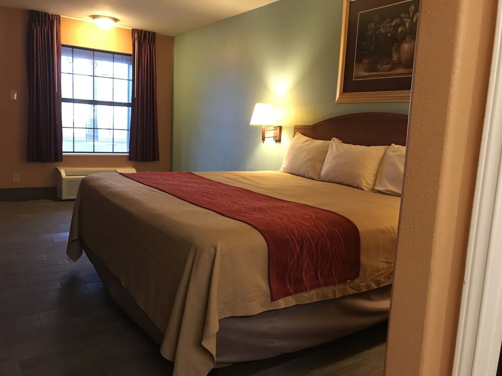 Sky Palace Inn and Suites Laredo - photo 20