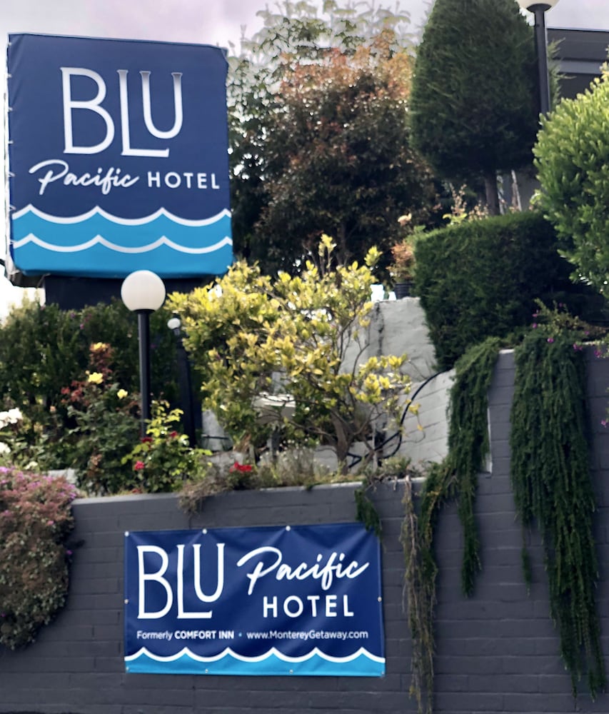 Blu Pacific Hotel - photo 47