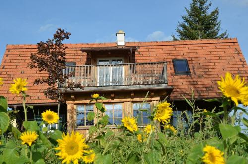 Sonniges Kellerstockel Im Schilcherland — Deutschlandsberg