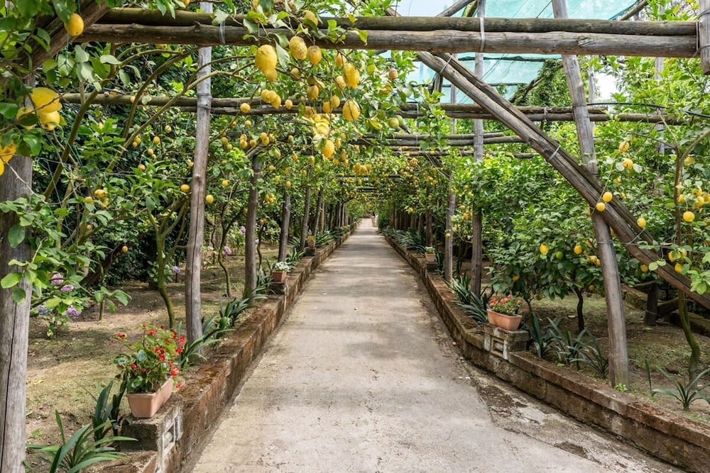 Romantic Garden in Sorrento — 4-Star Luxury Hotel in Sorrento, Italy