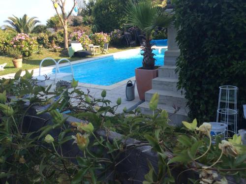 Roulotte De Luxe Vue Mer 180 Et Un Ha De Verdure — Plougastel Daoulas