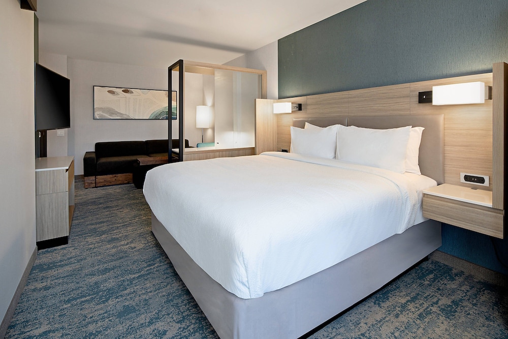 SpringHill Suites by Marriott Valencia - photo 11