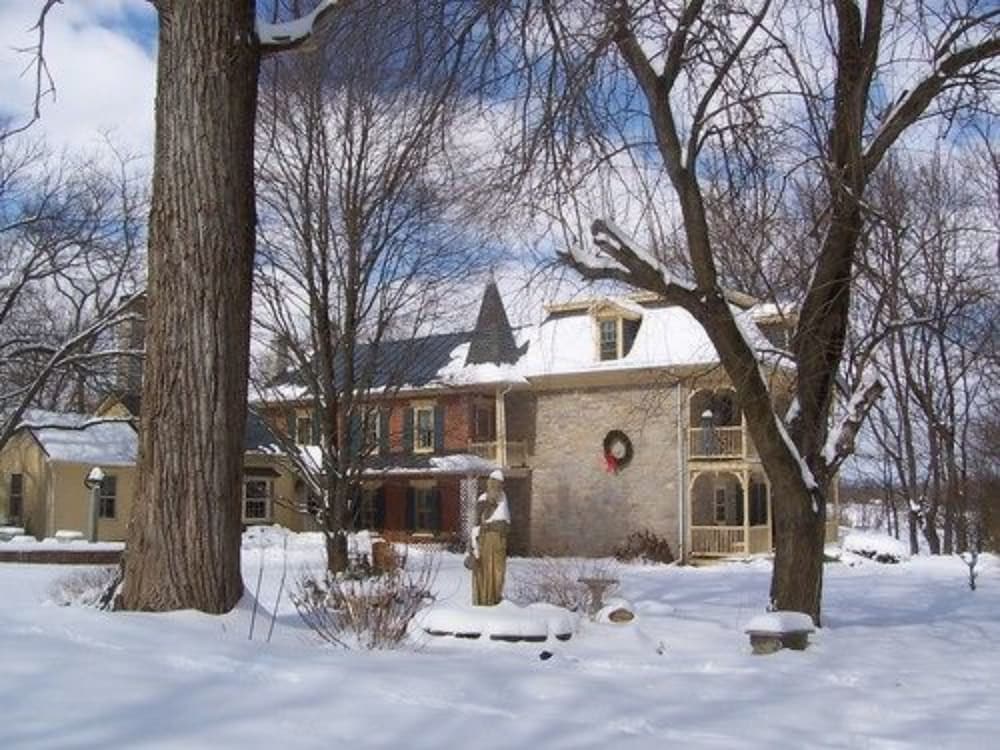Fallen Tree Farm Bed & Breakfast - photo 57