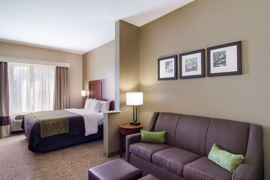 Comfort Inn Blackshear Hwy 84 - photo 10