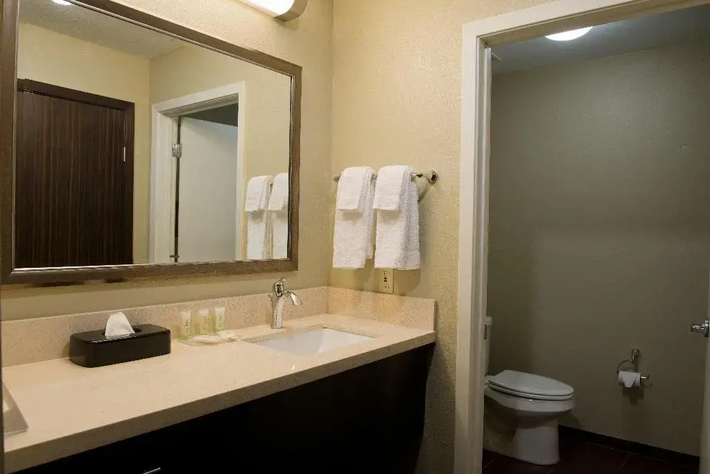 Staybridge Suites Houston NW Willowbrook - photo 10