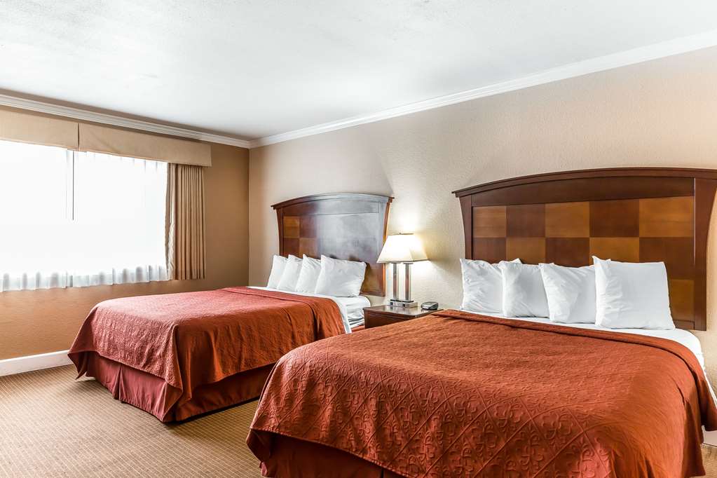 Quality Inn near Hearst Castle - photo 7