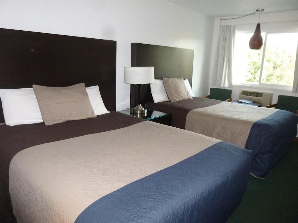 Cougar Land Motel - photo 20