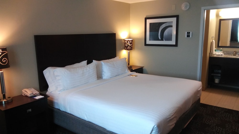 Holiday Inn Express & Suites Pittsburgh West Greentree by IHG - photo 24