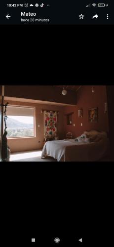 Finca La Candelaria — Maimara — photo 4