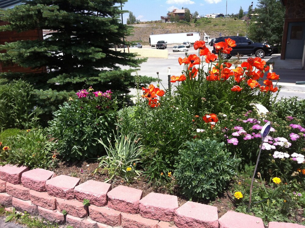 Dillon Inn - photo 14