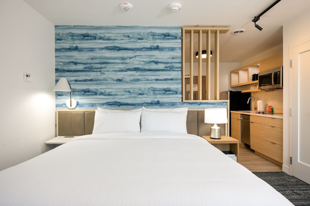TownePlace Suites by Marriott Canton Riverstone Parkway - photo 15
