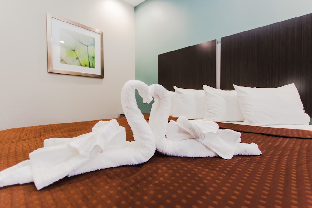 Express Inn Spring - photo 23