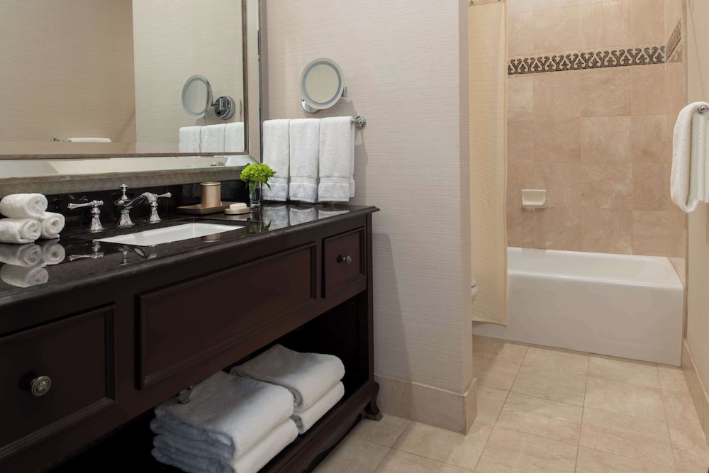 The Roosevelt New Orleans A Waldorf Astoria Hotel - photo 103