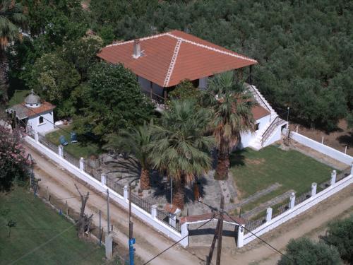 Palm Tree 1 - carbon neutral hotel in Unknown City