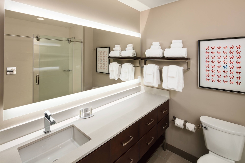 TownePlace Suites New Orleans Downtown Canal Street - photo 23