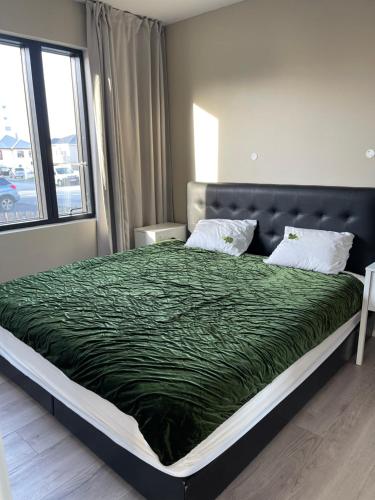 Keflavik Apartments 101