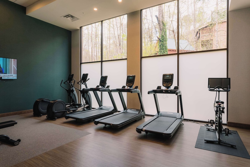 Embassy Suites by Hilton Gatlinburg Resort - photo 46