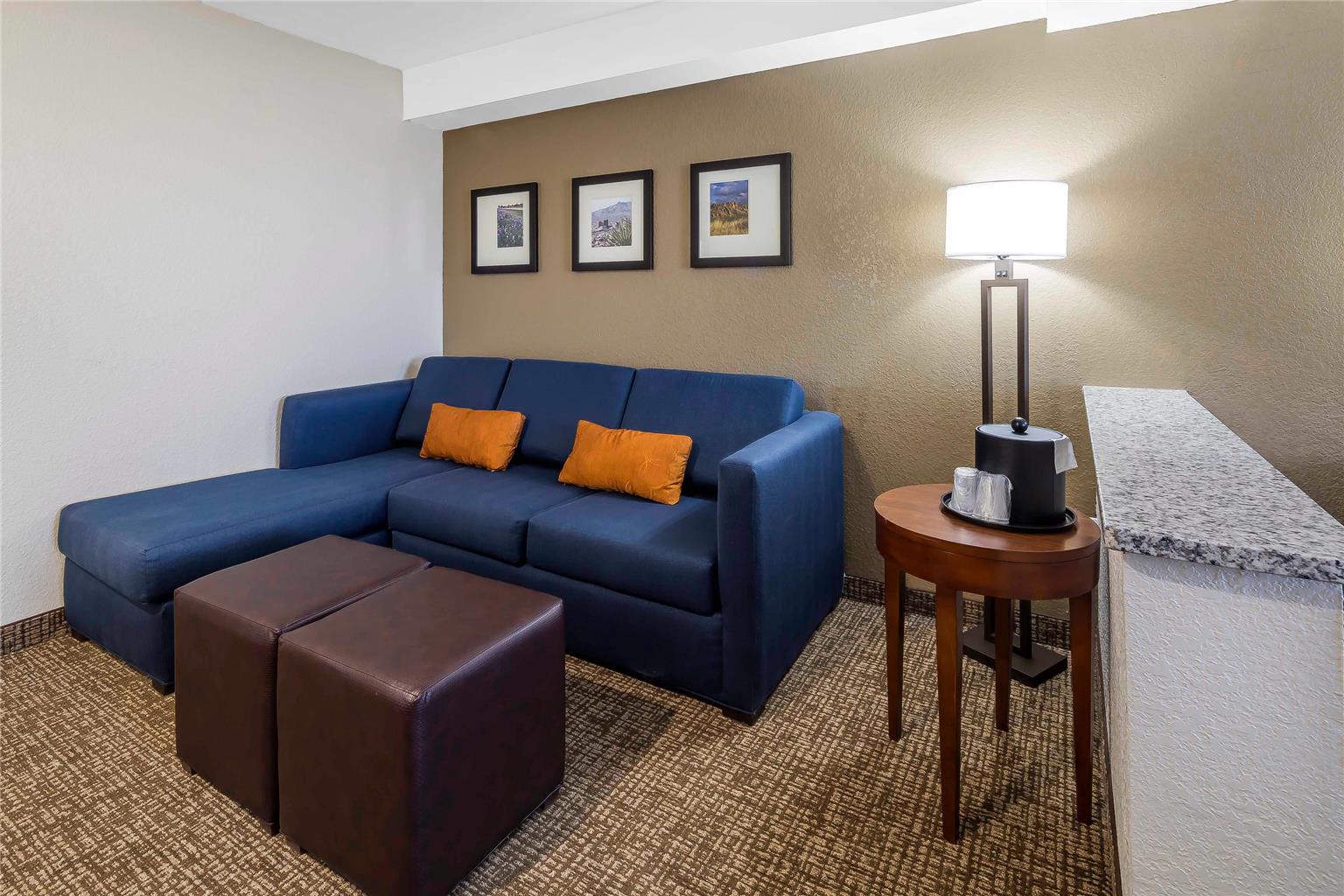 Comfort Suites El Paso Airport - photo 14