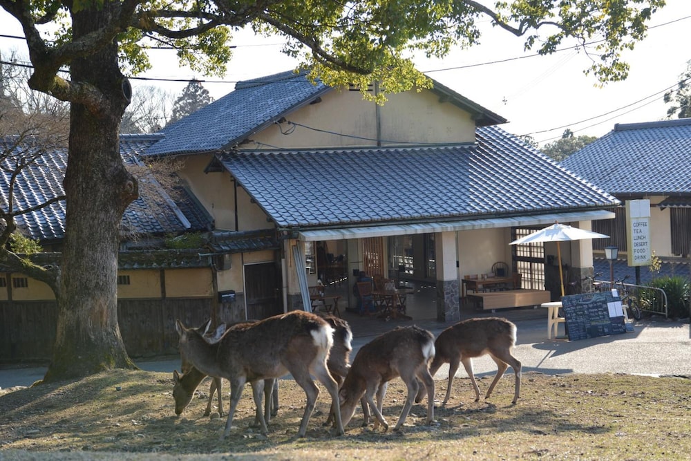 The Deer Park Inn in Nara-Shi, Japan