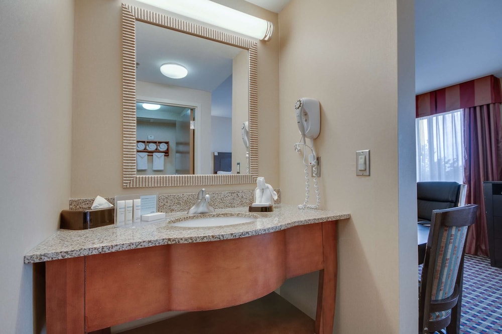 Hampton Inn & Suites Las Cruces I 25 - photo 18