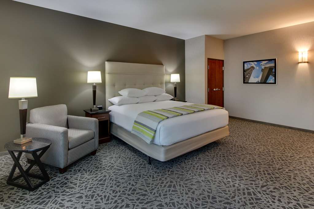 Drury Plaza Hotel Dallas Richardson - photo 30