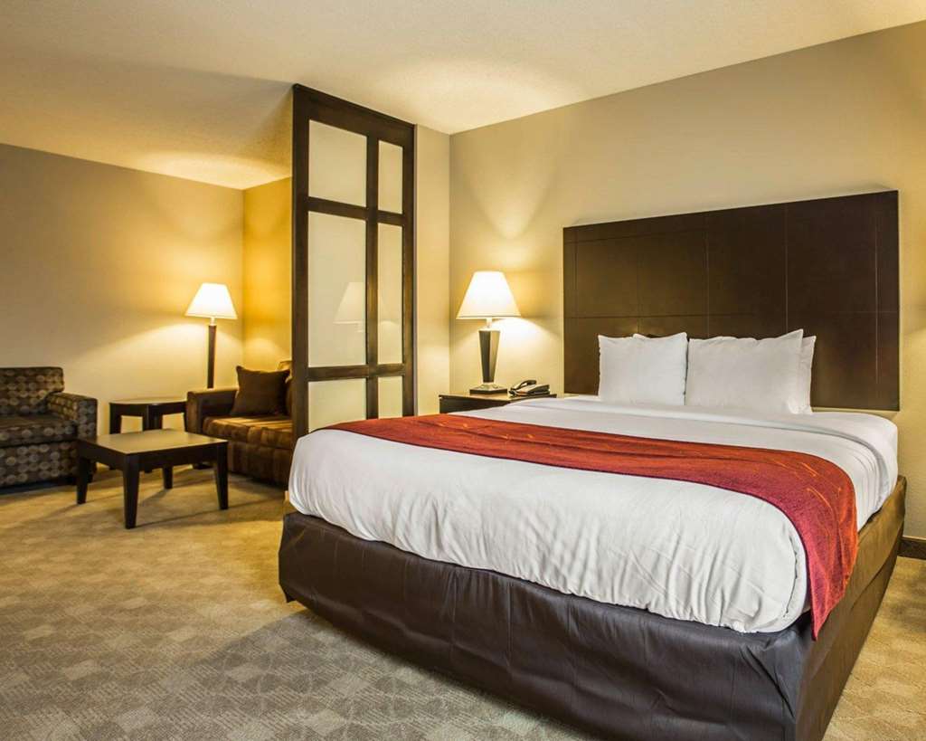 Comfort Suites Huntersville near Lake Norman - photo 14