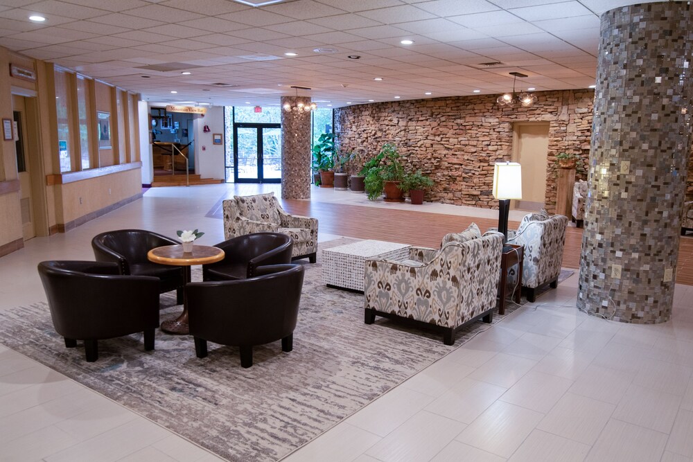 Mountain Laurel Resort - photo 6