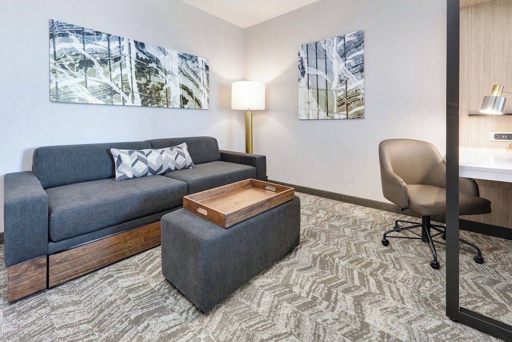 Springhill Suites Dallas Mansfield - photo 8
