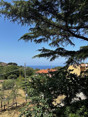 Da Beatrice in Marciana Marina, Italy