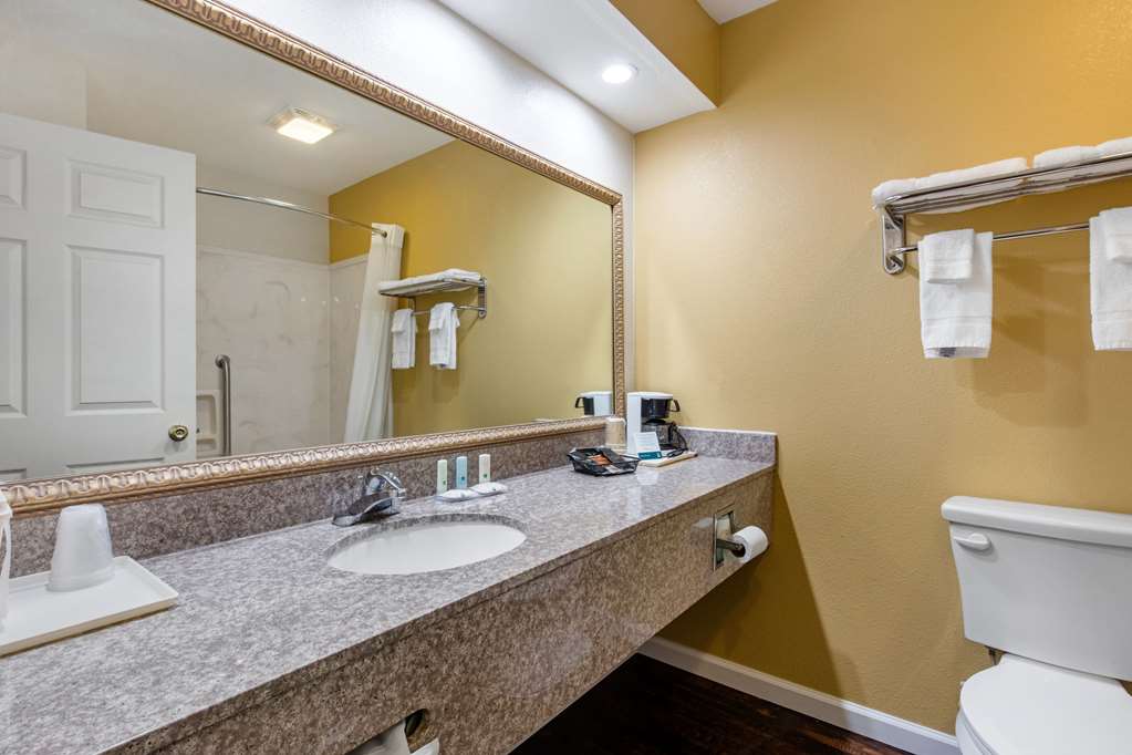 Quality Inn West Memphis I 40 - photo 16