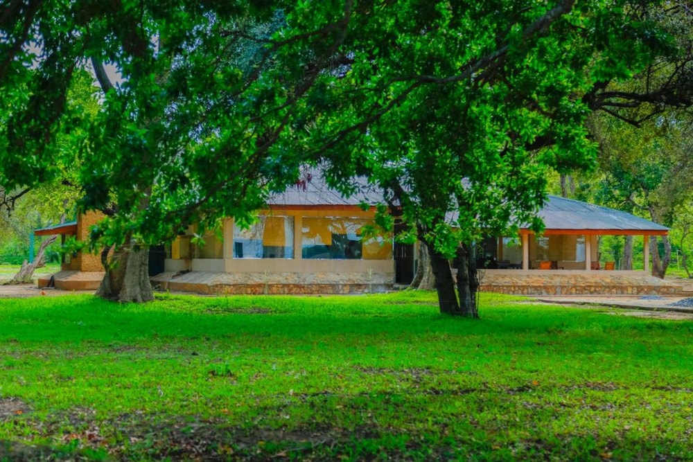 Yala Crocodile Park in Kataragama, Sri Lanka