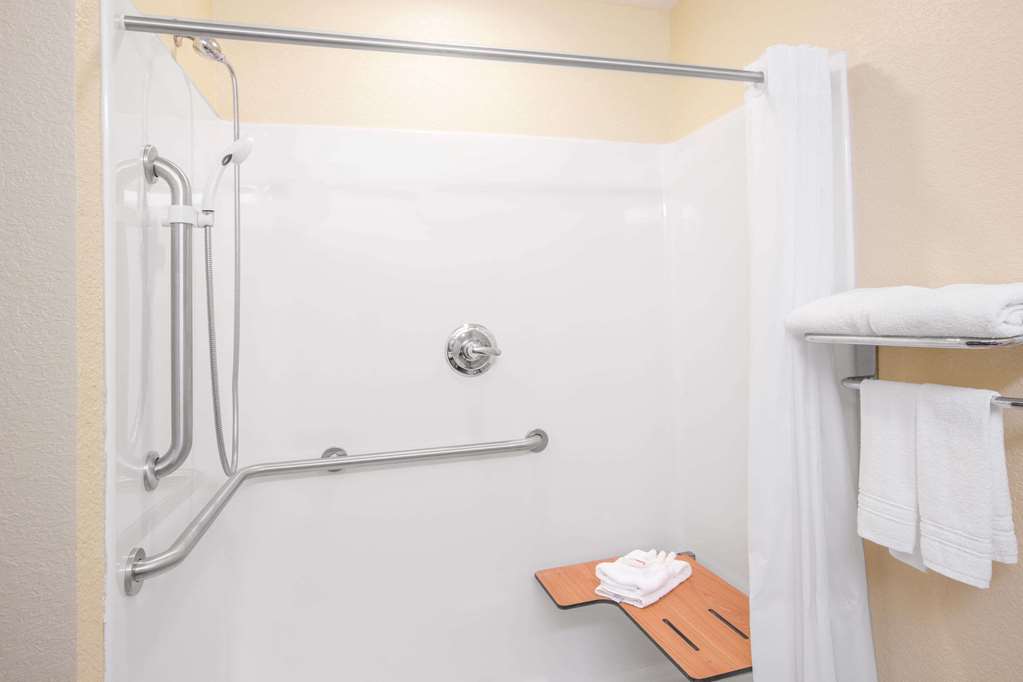 Microtel Inn & Suites by Wyndham Albertville - photo 3