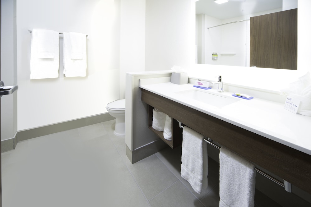 Holiday Inn Express & Suites Fort Myers Airport by IHG - photo 16