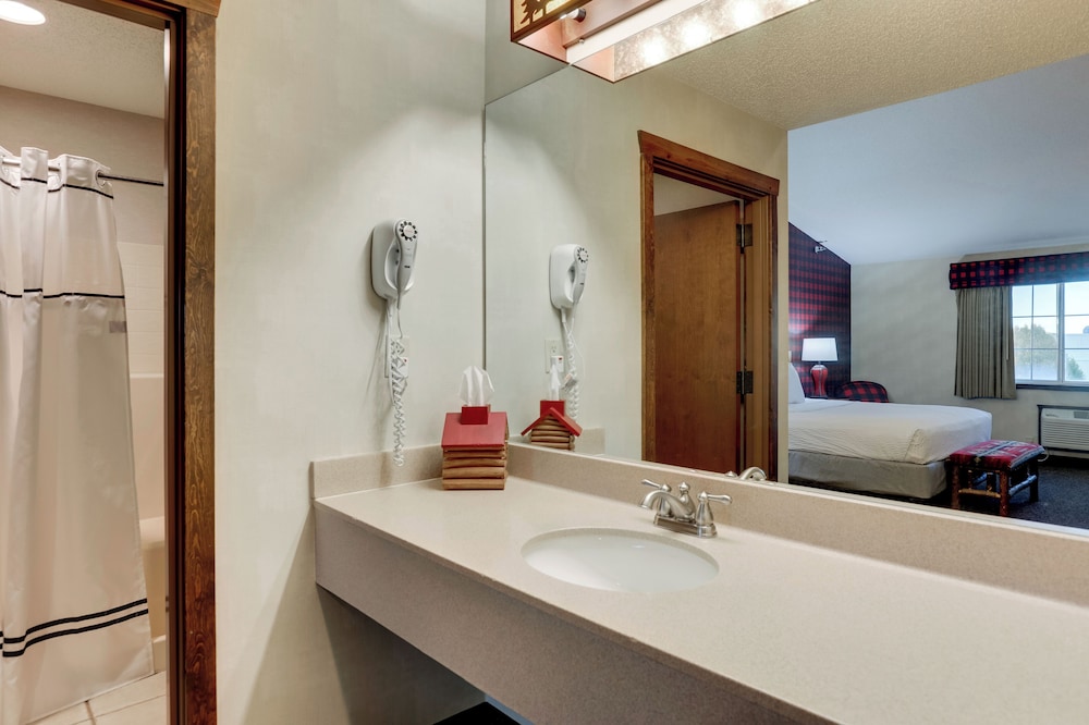 Stoney Creek Hotel St. Joseph - photo 28