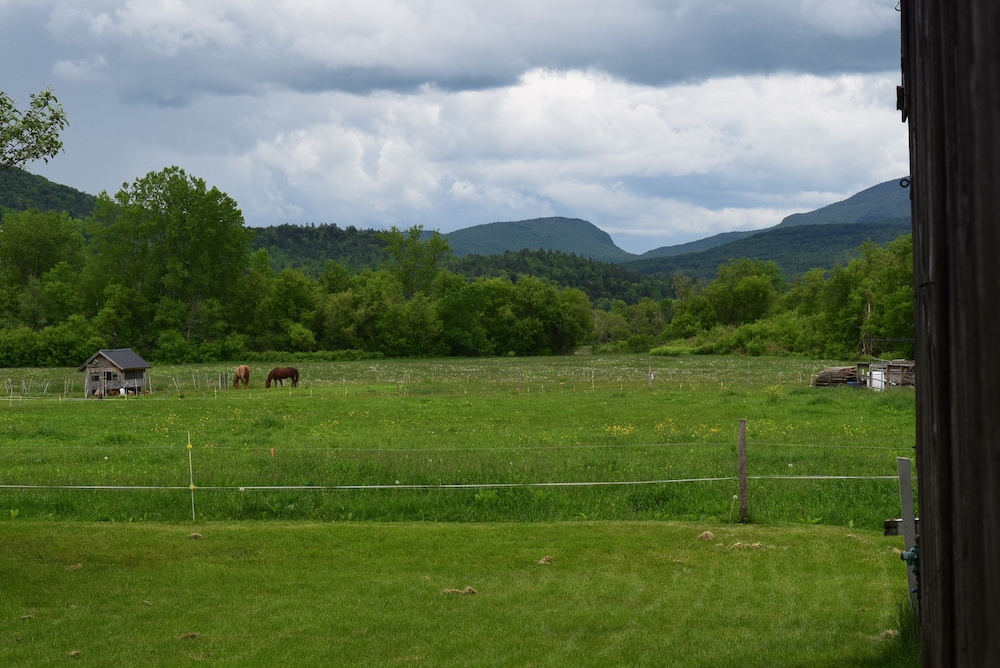 Black Lantern Inn - photo 36