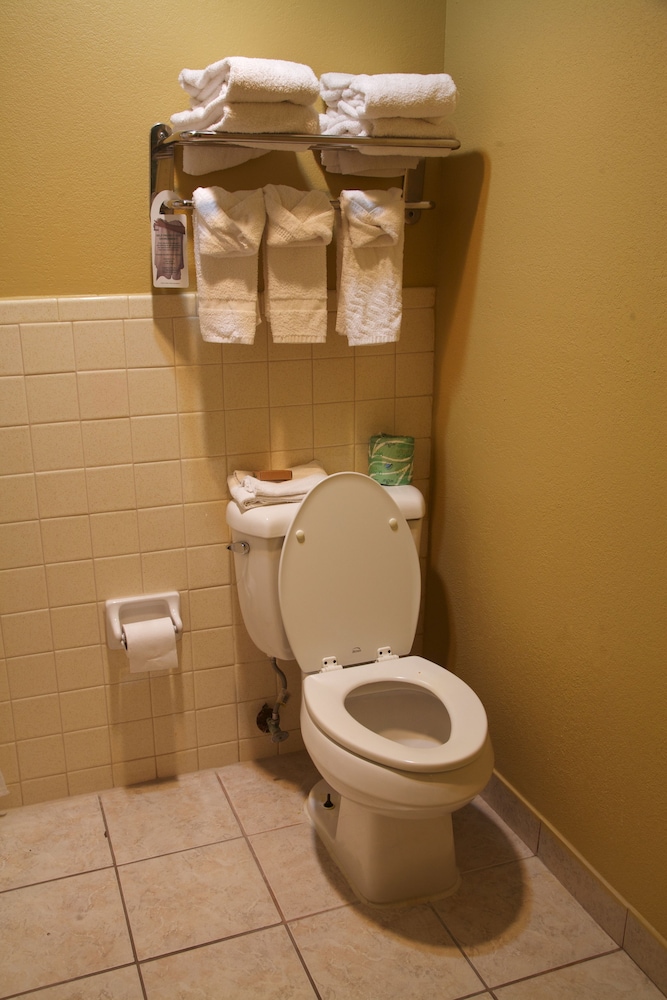 Coach Light Inn Brenham - photo 25