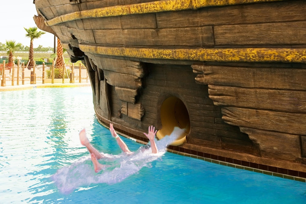 Lake Buena Vista Resort Village & Spa - photo 38