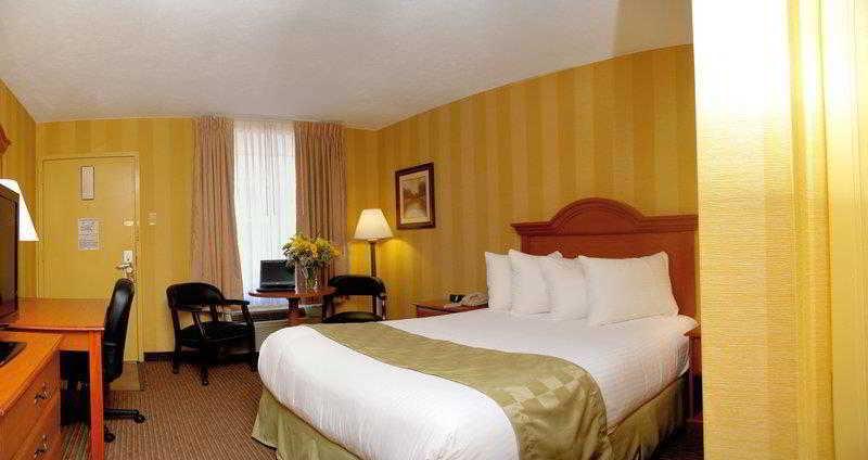 Best Western Central Plaza - photo 7