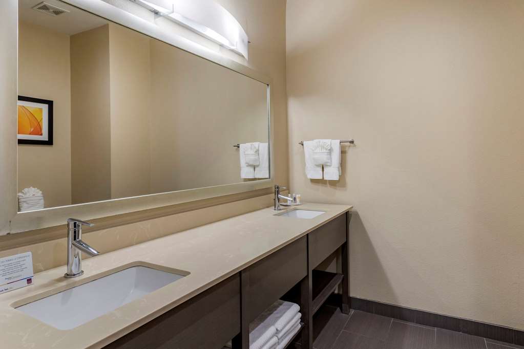 Comfort Suites Near Sam Houston Race Park - photo 15