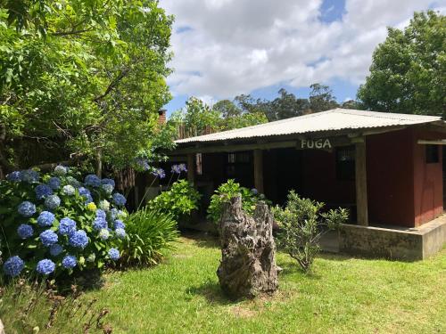 Compañeras in Unknown City, Uruguay