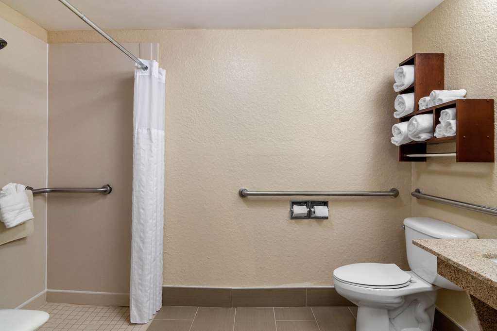 Comfort Suites Woodstock Atlanta North - photo 13
