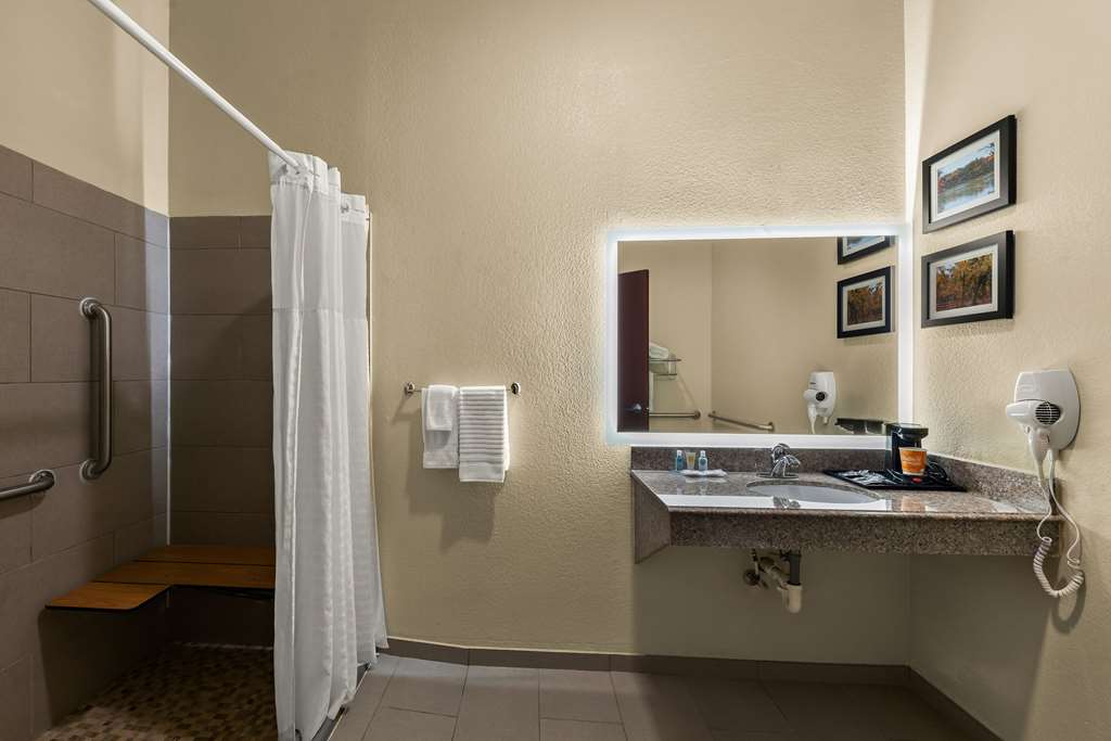 Comfort Inn & Suites Atoka - photo 12