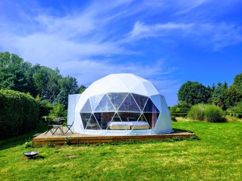 Parkhoeve Glamping — Tessenderlo — photo 5