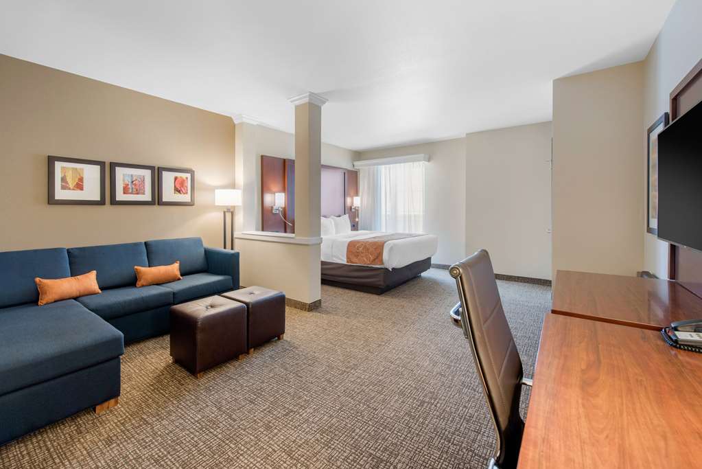 Comfort Suites Denver International Airport - photo 39