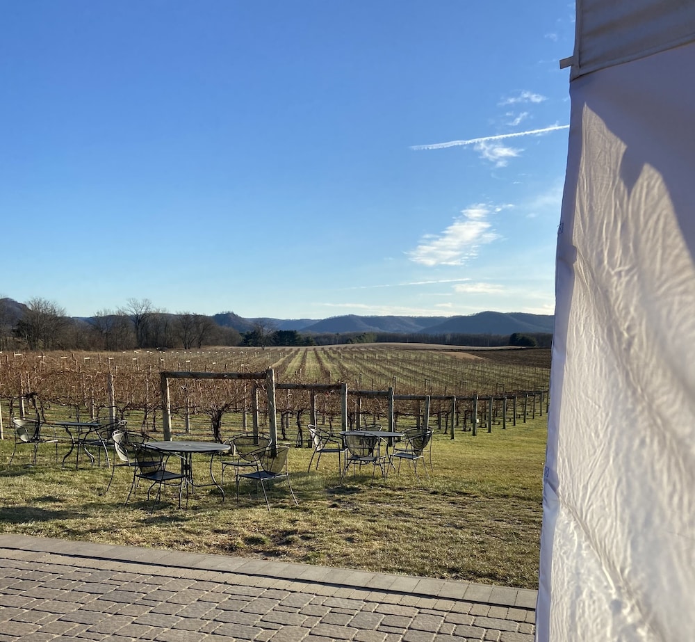 Little Bluff Inn - photo 36