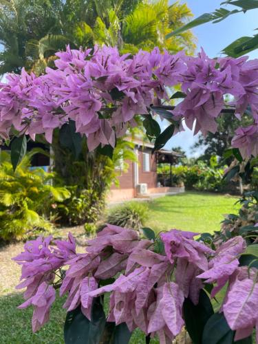 Eden Créole in Trois-Rivieres, Guadeloupe