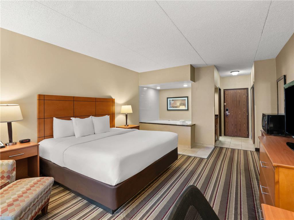 Comfort Inn Metro Airport - photo 35